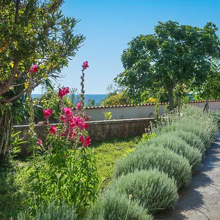 Holiday home Lorena By Interhome Rasa